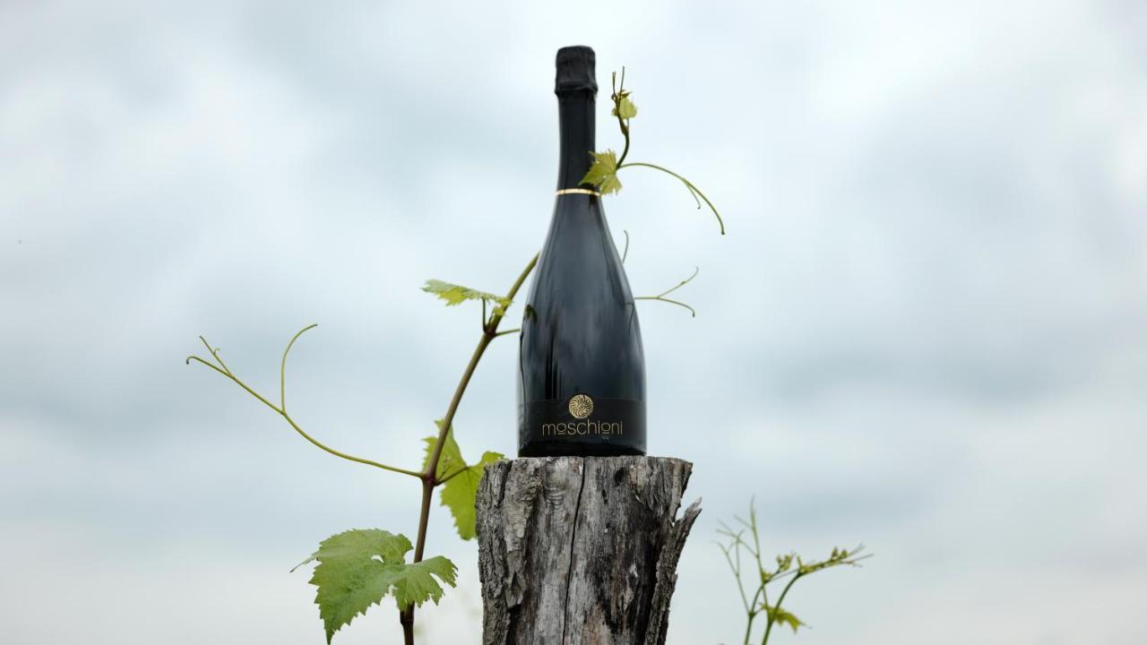 Azienda Agricola Moschioni Cividale del Friuli エクステリア 写真